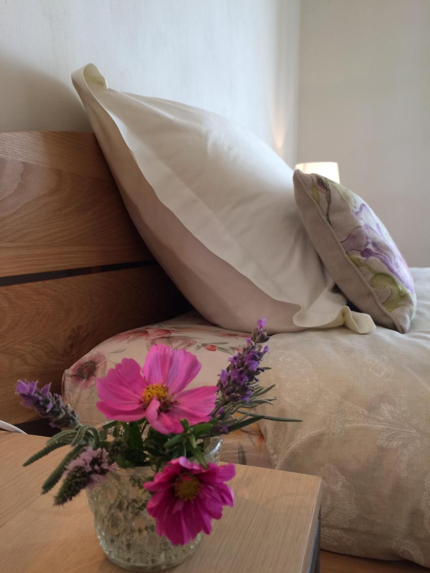 La Perle Des Montagnes - Bed And Breakfast - Chambre D Hote Vernet-les-Bains Zewnętrze zdjęcie
